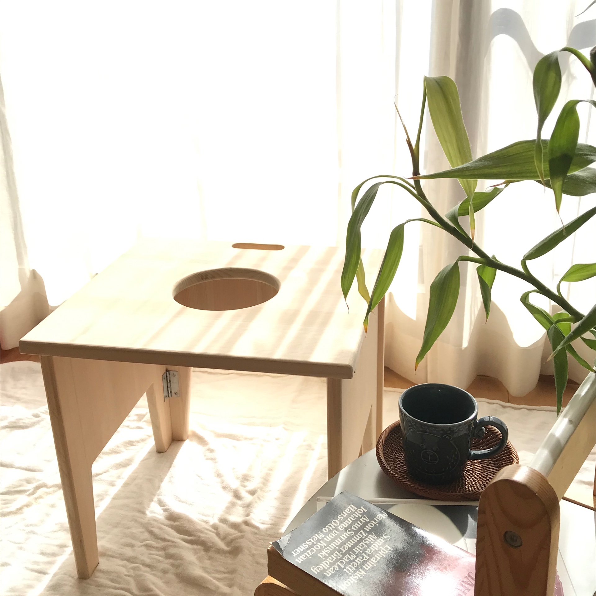 窓辺のよもぎ蒸し椅子と植物のある静かな空間